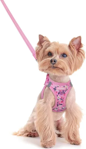 Vista 61 de rabbitgoo Arnés para perro de tamaño pequeño y juego de correa, chaleco Cachorros de manzana