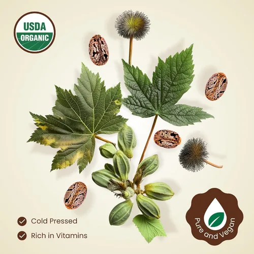Vista 3 de BodyJ4You Aceite de ricino orgánico USDA - Suero para barba y cuero