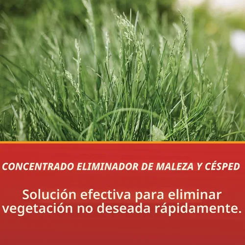 Vista 3 de Control Solutions Inc. 82004319 Eraser concentrado eliminador de malezas y hierbas, 1 galón, 128 onzas