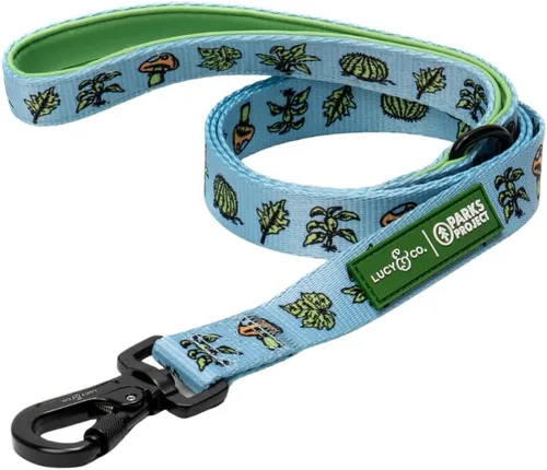 Vista 33 de Correa para perros de diseño Lucy & Co. - Accesorios para mascotas - Correa gruesa para perros - Asa acolchada para mayor comodidad - Entre