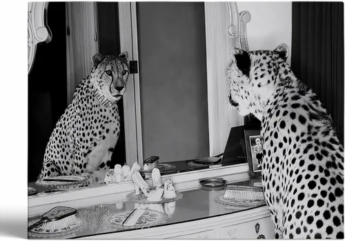 Vista 19 de Impresión de guepardo en el espejo, impresión de fotografía en blanco y negro, leopardo vintage en blanco y negro, fotos de espejo con aspecto