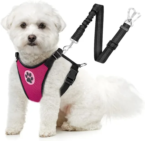 Vista 18 de SlowTon Arnés de Cinturón de Seguridad para Perro para Coche, Arnés de Coche para Perros Ajustable de Malla Transpirable y Arnés de Cinturón