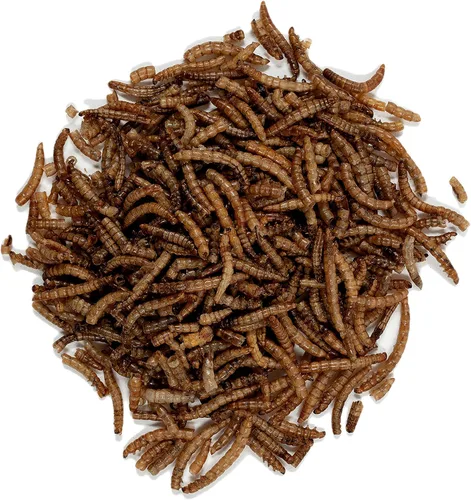 Vista 3 de Wagner's 58005 Mealworms - Alimento para aves silvestres, bolsa de 18 onzas (paquete de 2)