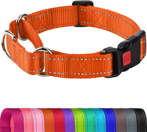 Vista 8 de Joytale Collar Martingale para perros, reflectante resistente para mayor seguridad, hebilla de liberación rápida, collares de nailon ajustables