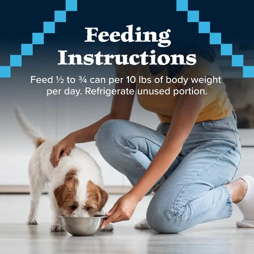 Vista 10 de Blue Buffalo Wilderness - Alimento húmedo natural con alto contenido de proteínas para perros adultos, pavo y pollo con granos integrales, latas