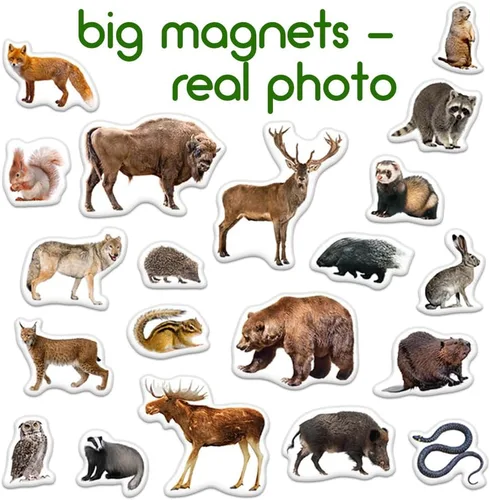 Vista 3 de Forest Photo - Imanes para niños pequeños, 20 animales magnéticos para nevera