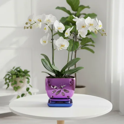 Vista 8 de Macetas de orquídeas con agujeros cuadrados de cerámica para orquídeas de Púrpura