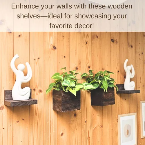 Vista 6 de LaLaGreen - Maceta de madera para plantas (2 cajas + 2 estantes), paquete