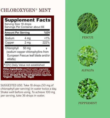 Vista 3 de Herbs Etc. ChlorOxygen - Concentrado de clorofila de menta sin alcohol, extracto líquido de clorofila en gotas de clorofila líquida, desintoxicante