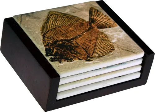Vista 2 de Fossil Fish Images - Juego de 4 posavasos para azulejos de cerámica, soporte incluido