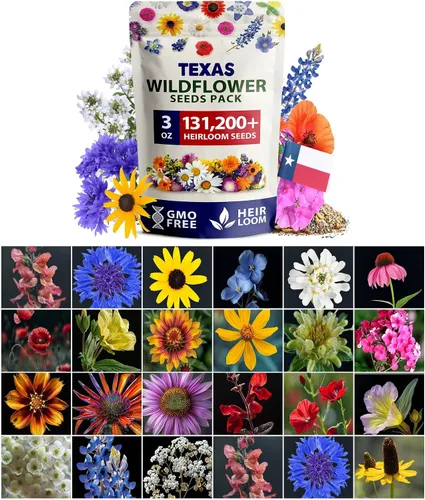 Vista 12 de HOME GROWN - 49 000 semillas de flores silvestres, mezcla a granel, 2 onzas, 21 variedades de mezcla de flores silvestres, para atraer abejas