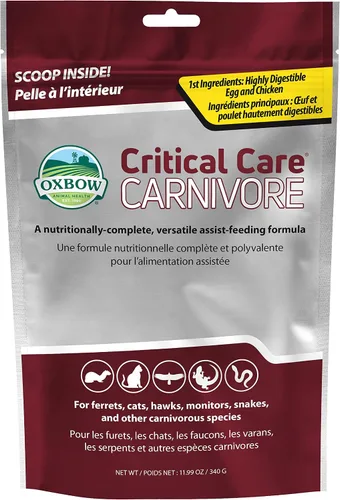 Vista 7 de Oxbow Critical Care Carnivore, hecho con huevo entero y pollo seco, fórmula para alimentación asistida para carnívoros, suplementos para gatos