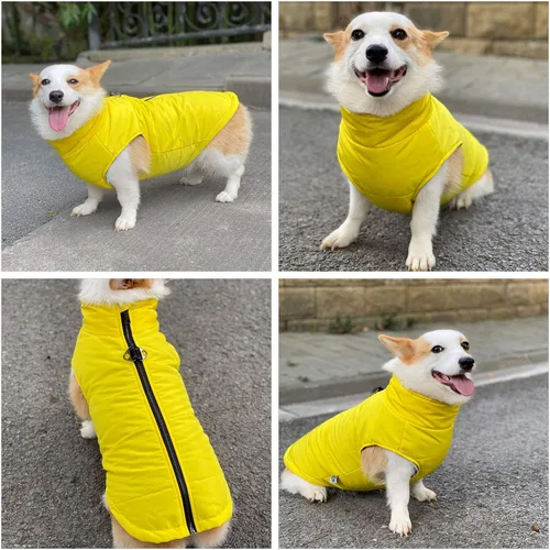 Vista 6 de Lovelonglong - Chaleco de invierno para perro con forro de algodón, impermeable, ultra cálido, abrigo de invierno para perros pequeños, medianos