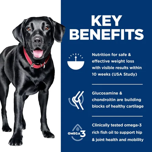 Vista 4 de Hill's Science Diet Perfect Weight & Joint Support Alimento seco para perros de raza grande