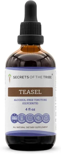 Vista 7 de Secrets of the Tribe Teasel Extracto líquido sin alcohol, Teasel (Dipsacus fullonum, Dipsacus sylvestris) Suplemento de tintura de raíz seca de 2