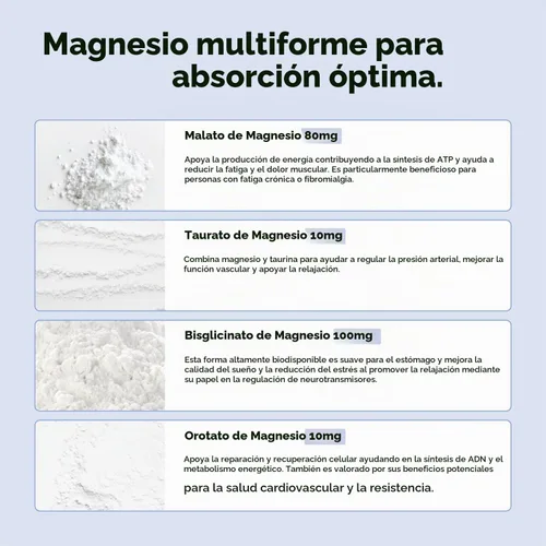 Vista 4 de COMPLEMENT Magnesio - Complejo de 4 formas biodisponibles - Malato, Taurato, Bisglicinato, Orotate - Suplemento para relajación, recuperación