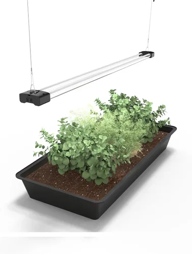 Vista 12 de DYMOND BoostGro Luz LED de Cultivo Iniciador de Semillas de Espectro Completo Enlazable 5000K Luz Diurna + 660nm Rojo + 450nm Azul Accesorio