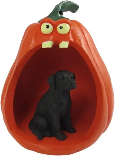 Vista 113 de Conversation Concepts Figura de Corgi galés de Halloween y calabaza Welsh Corgi Pembroke