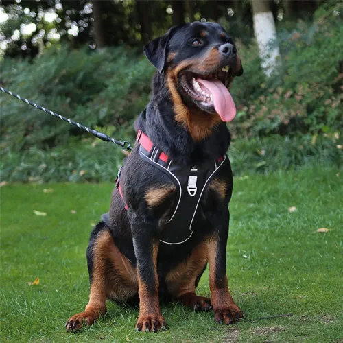 Vista 2 de Tangpan Arnés ajustable Oxford para perro, arnés de chaleco ajustable para mascotas con 2 clips para correa para perros pequeños (negro, pequeño)