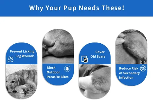 Vista 5 de Fundas protectoras de codo para perros para patas delanteras para dejar