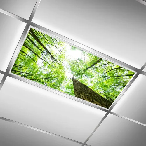 Vista 11 de Cubiertas de luz fluorescente para luces de techo de aula – Película retroiluminada de 2x4 pies para luminarias fluorescentes, fácil de instalar
