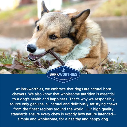 Vista 6 de Barkworthies Golosina Bully Stick sin olor, 6 pulgadas, (paquete de 5)