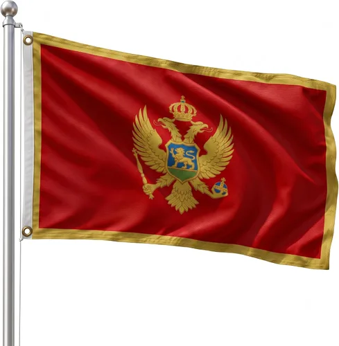 Vista 118 de DMSE - Bandera nacional beninesa beninesa de la República de África Occidental, 2 x 3 pies, 100 % poliéster, 100 % poliéster, resistente a los rayos