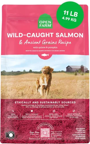 Vista 29 de Open Farm - Alimento seco para perros con cerdo y granos ancestrales, receta de cerdo criado de forma humanitaria con granos sanos, sin saborizantes