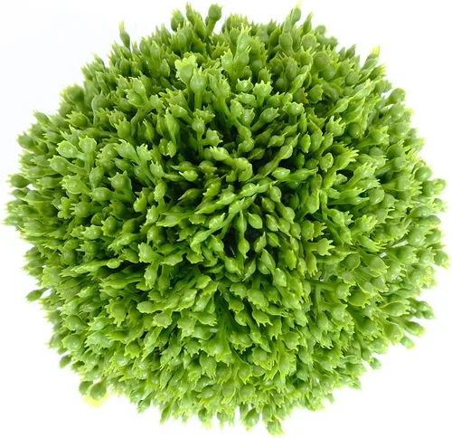 Vista 5 de Bolas de boj de 3.5 pulgadas, bolas de vegetación artificial, decorativas, relleno de cuenco, juego de 3 bolas de musgo decorativas