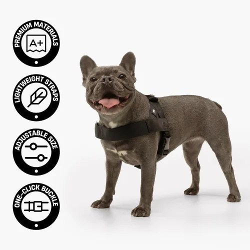 Vista 3 de Arnés para perro Dog Friendly Co Correas resistentes a rozaduras, cuello y pecho ajustables, y anillo en D resistente Resistente, cómodo, fácil