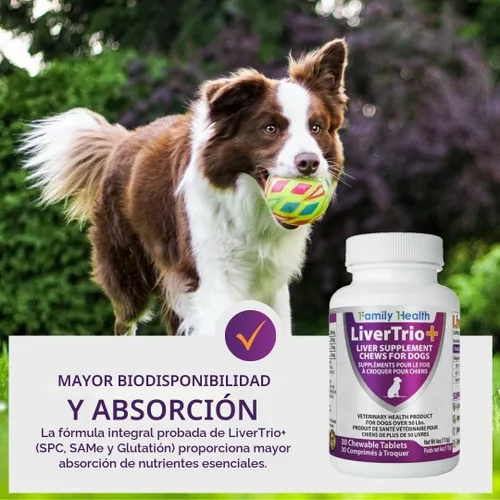 Vista 7 de Suplemento integral de apoyo hepático para perros más pequeños. Tabletas masticables sabrosas que combinan las mismas, SPC, silybin A+B, + glutatión