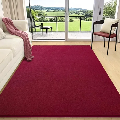 Vista 20 de AROGAN Alfombra Shag de Pasillo de 2 x 4 pies para pasillos, alfombras lavables con espuma viscoelástica para dormitorio, entrada