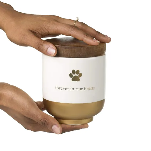 Vista 2 de Pearhead Pet Ceramic Forever in Our Hearts Urna conmemorativa para mascotas, urna de recuerdo de perro o gato, puente arcoíris, dorado