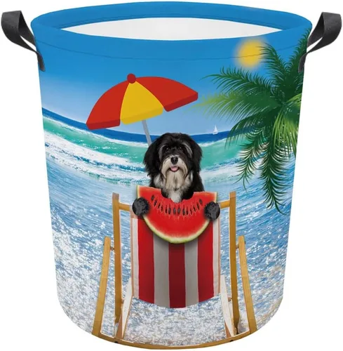 Vista 14 de Cesta plegable con estampado de perro, lindo Cavalier King Charles Spaniel Sandía con asa, caja de juguetes, bolsa de almacenamiento