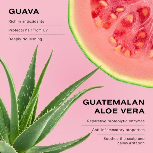 Vista 4 de Ceremonia Champú Guava Color Protect & Damage Repair Restaura el cabello y aumenta el brillo con aloe vera Protege el cabello de los rayos UV