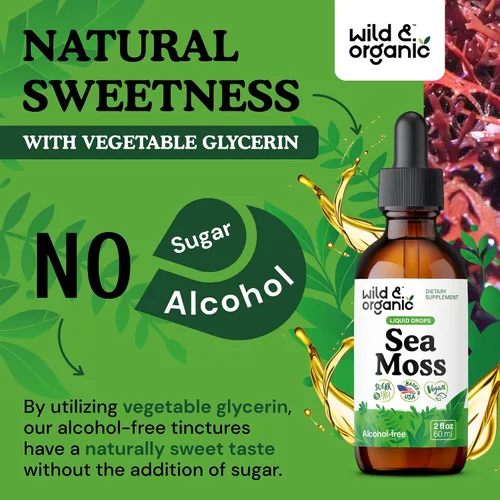 Vista 6 de Wild & Organic Gotas líquidas de musgo marino – Apoyo inmunológico – Tintura de musgo marino irlandés y vejiga – Suplemento multimineral Chondrus
