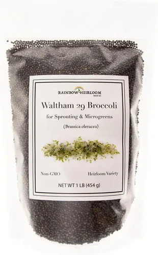 Vista 7 de Semillas de brócoli para germinado y microverdes Variedad Waltham 29 Semillas sin OMG y de legado Bolsa resellable de 1.13 kg (40 oz) al por