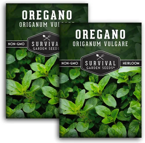 Vista 10 de Semillas de orégano para plantar – Hierba culinaria Origanum Vulgare para platos italianos – Cultiva en interiores o exteriores para un sabor fresco