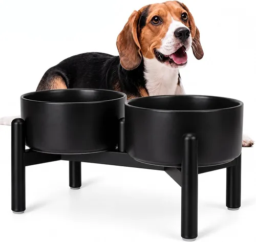 Vista 17 de Juego de cuencos elevados de cerámica para perros con soporte, 2 tazas de Negro