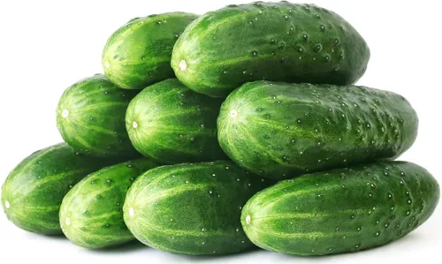 Vista 47 de 50 Hale's Best Cantaloupe Seeds for Planting - Sweet Aromatic Heirloom, Non-GMO, USA Grown by RDR Seeds