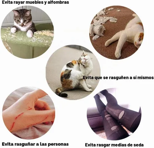 Vista 4 de YMCCOOL 100 tapas de uñas para gato/puntas de gato para mascotas, patas de gatito, patas de control de 10 tapas de uñas y 5 unidades de pegamento