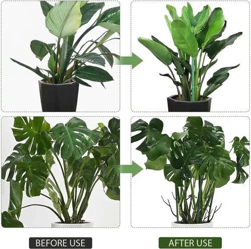 Vista 5 de Paquete de 5 soportes apilables para plantas Monstera, estacas de soporte para plantas de jardín para uso de plantas de interior y exterior, estacas
