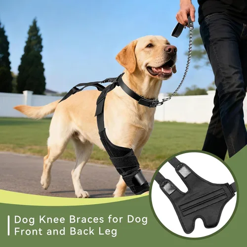 Vista 8 de Rodillera de perro para pierna trasera, soporte ajustable para piernas de perro para desgarro de ACL, soporte de pierna trasera, estabilidad