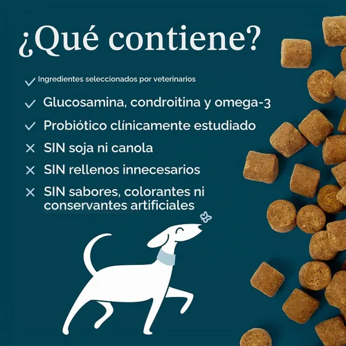 Vista 3 de Fera Pets Gomitas masticables multivitamínicas para perros con glucosamina y probióticos - Vitaminas y minerales esenciales para perros - Promueve