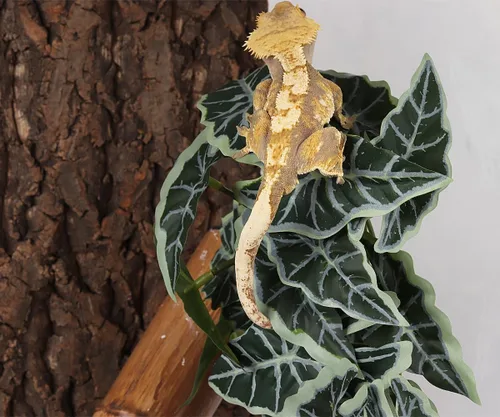 Vista 6 de Plantas de Reptiles para Terrario, Decoración de Hábitat de Anfibios Plantas Colgantes Artificiales con Ventosa - Alocasia Terciopelo Negro Falsa