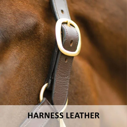 Vista 5 de Dura-Tech Premier Lancaster - Cabestro de cuero para caballos Cabestro de cuero económico simple con ajuste ajustable y herrajes de latón macizo