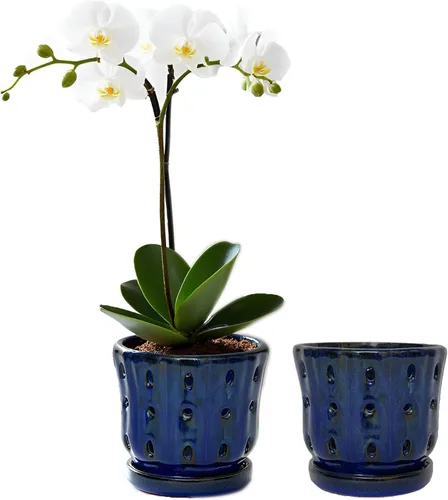 Vista 12 de Macetas para Orquídeas de 4.9 Pulgadas Macetas de Cerámica para Orquídeas con Agujeros Juego de 2 (verde musgo+blanco)