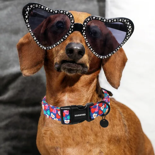Vista 4 de DOGWONG Collar para perro de San Valentín, collar ajustable de algodón con corazón de caramelo azul, perfecto para perros pequeños a medianos