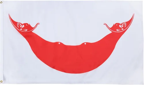 Vista 55 de AZ FLAG Juego de 5 banderas de Venezuela con parche – 35.4 x 23.6 in – Bandera Venezolana 7 estrellas 100% poliéster con ojales metálicos integrados