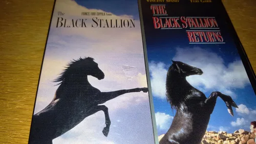 Vista 2 de The Black Stallion and The Black Stallion Returns